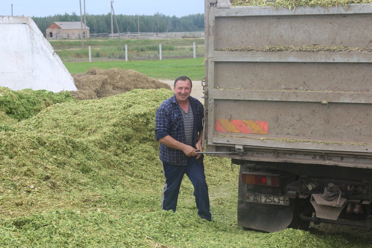 Паўнацэнныя кармы– надзейная аснова вытворчасці малака і мяса