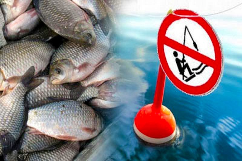 Перечень рыболовных угодий,  на которых действуют ограничения по способам лова рыбы