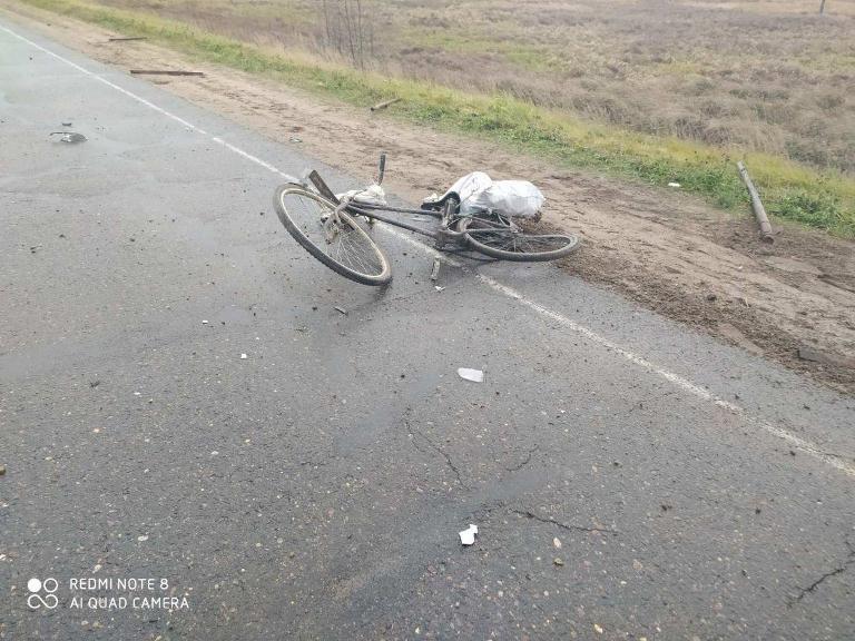 Peugeot в Кличевском районе сбил велосипедиста