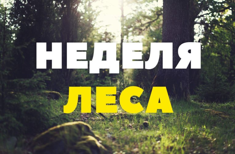 Министерство лесного хозяйства Республики Беларусь проводит добровольную акцию «Неделя леса-2021»