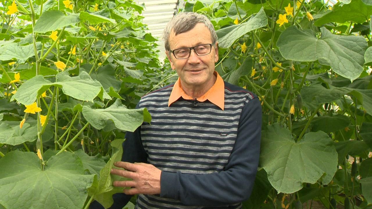 Кличевский фермер Виктор Артемьев стал победителем республиканского конкурса «Экологически дружественный фермер Беларуси».