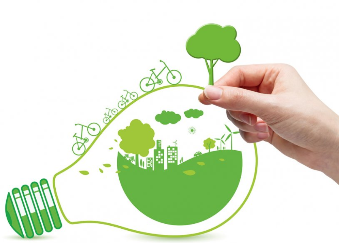 Мероприятия в  рамках экологической инициативы «Зеленый город»